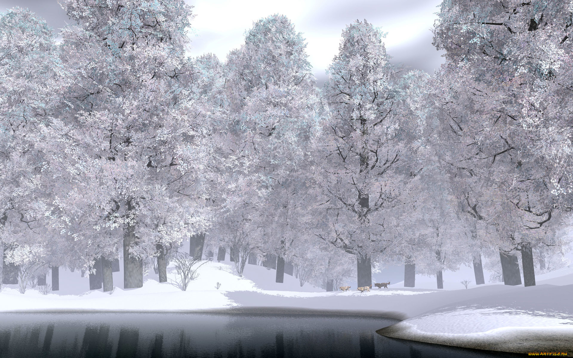 3, , nature, landscape, 